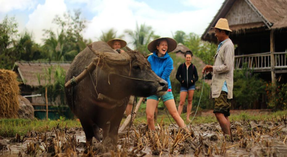 This-is-how-we-walk-with-the-buffalo-in-the-muddy-field