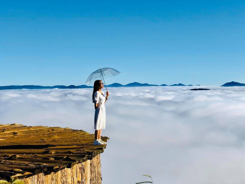 Cầu gỗ săn mây Đà Lạt – Vươn tay ngỡ chạm đến thiên đường