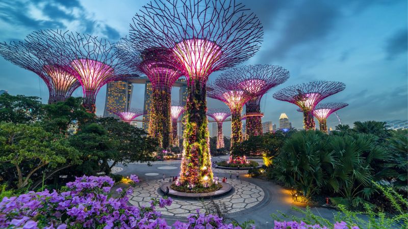 cong-vien-quoc-gia-Gardens by the Bay